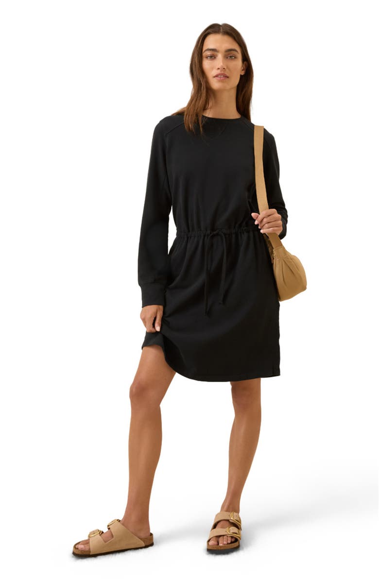 Pact Organic Cotton CloudKnit Sweatshirt Dress, Main, color, Black