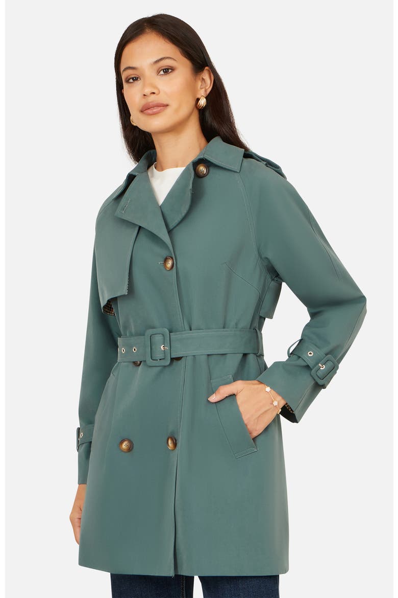 Belted Trench Coat, Alternate, color, Blue