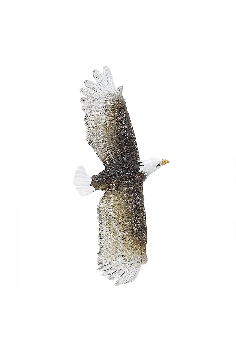 North American Wildlife - Set of 13, Alternate, color, Multicolored