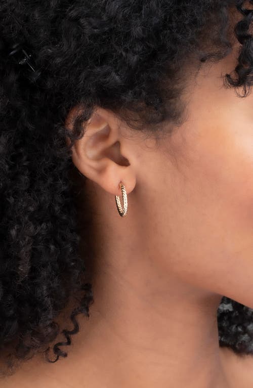 Bony Levy 14k Gold Twisted Oval Gold Hoop Earrings In 14k Yellow Gold