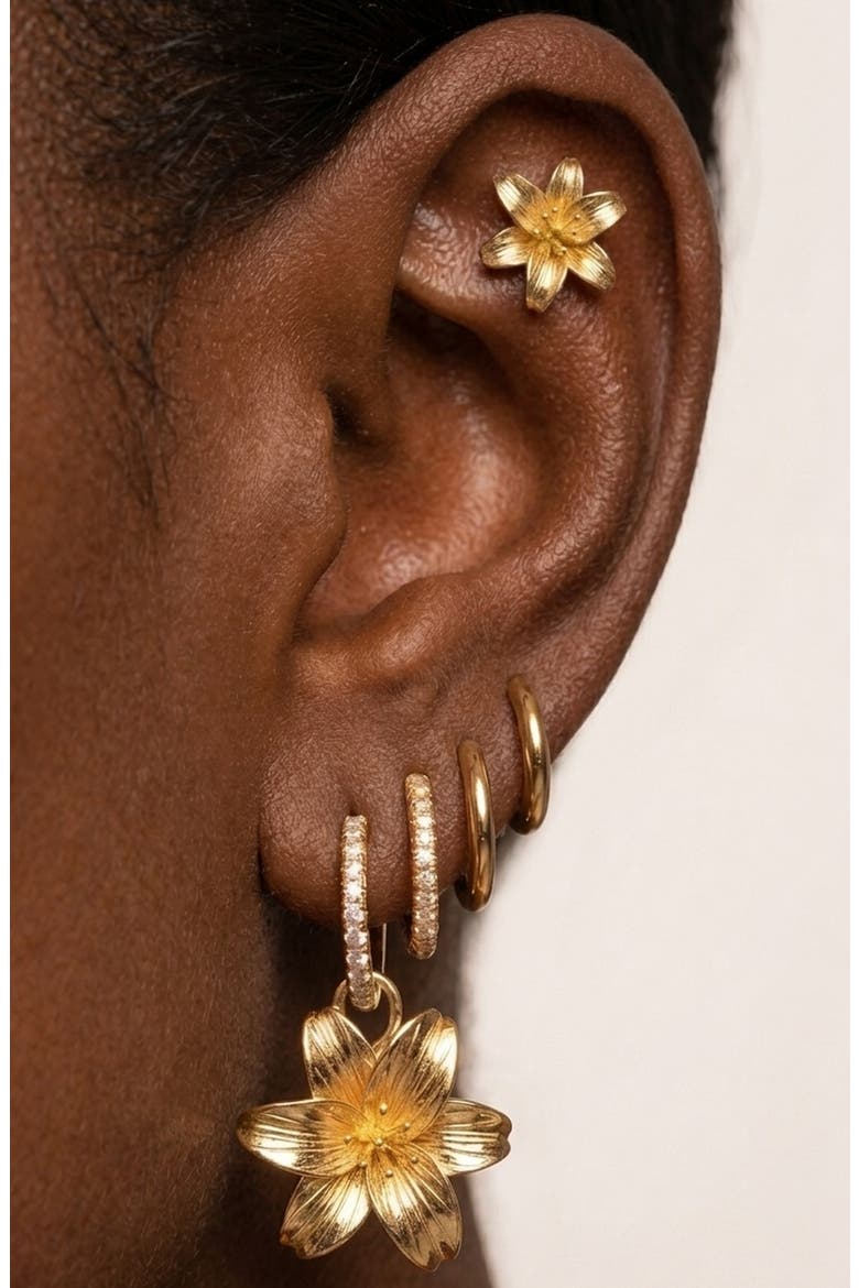 Set of 9 Lily Hoop, Stud & Drop Earrings, Alternate, color, GOLD