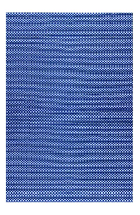 Basic Blue & White Rug