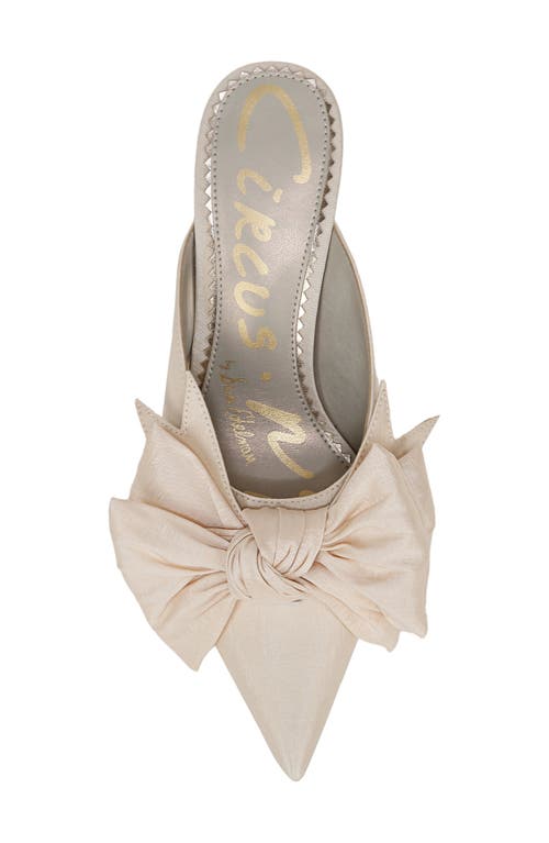 Circus Ny By Sam Edelman Fiona Pointed Toe Mule In Vanilla Bean