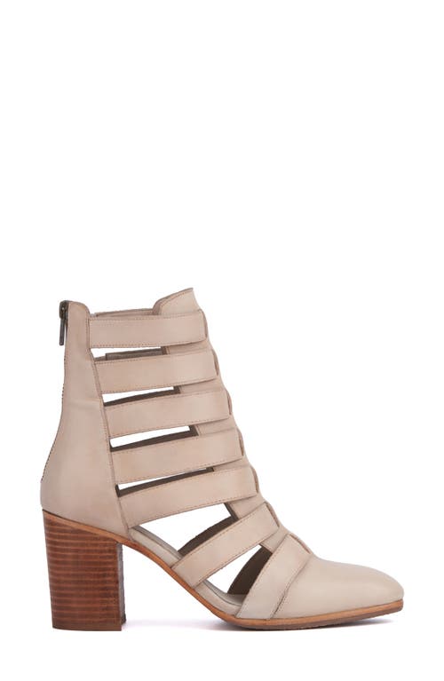 Vintage Foundry Vivi Caged Block Heel Bootie