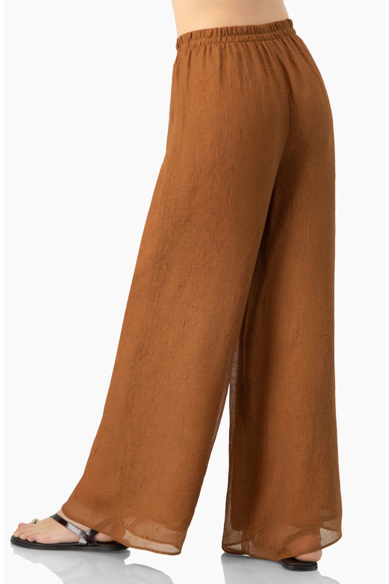 Airy Wide-Leg Elastic Waist Pants, Alternate, color, Brown