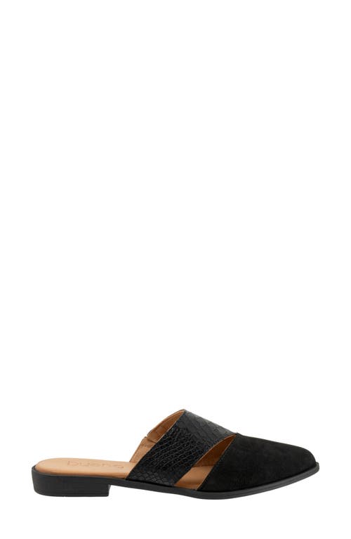 Bueno Blaze Pointed Toe Mule In Black