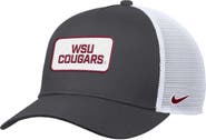 Nike Men's Nike Anthracite Washington State Cougars 2025 On-Field Rise Trucker Performance Adjustable Hat
