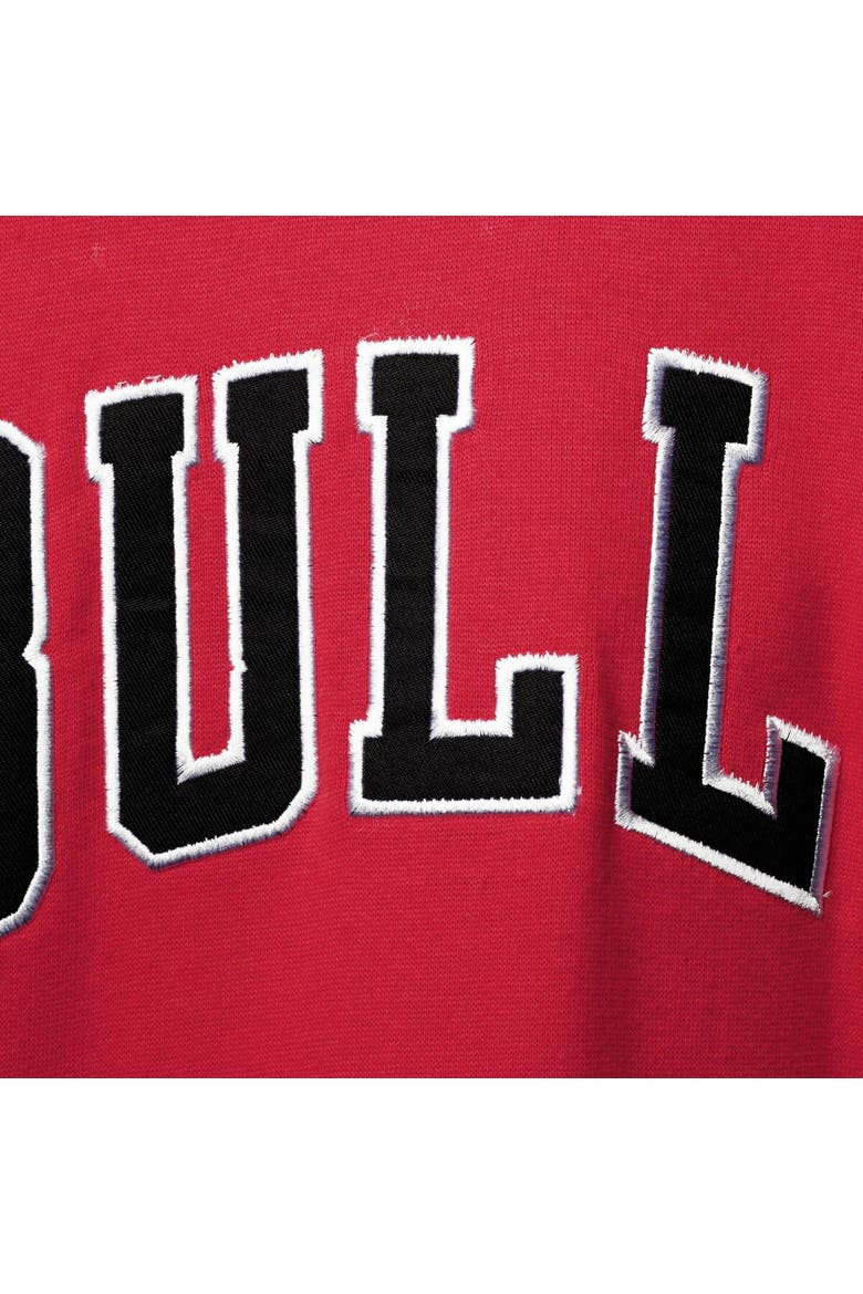 Men's Fanatics Branded Red/Black Chicago Bulls Big & Tall Double Contrast Pullover Hoodie, Alternate, color, Red