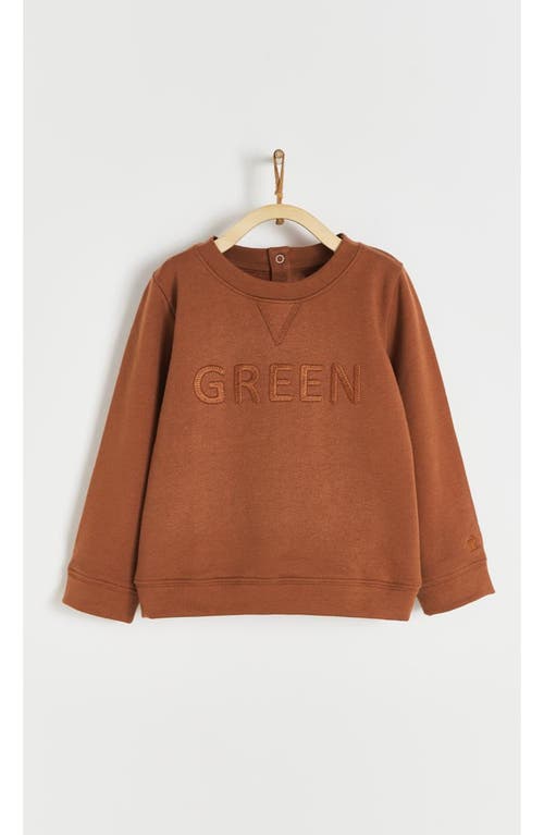 Babycottons Sweatshirt Lenny Leaves For Toddler In Brown