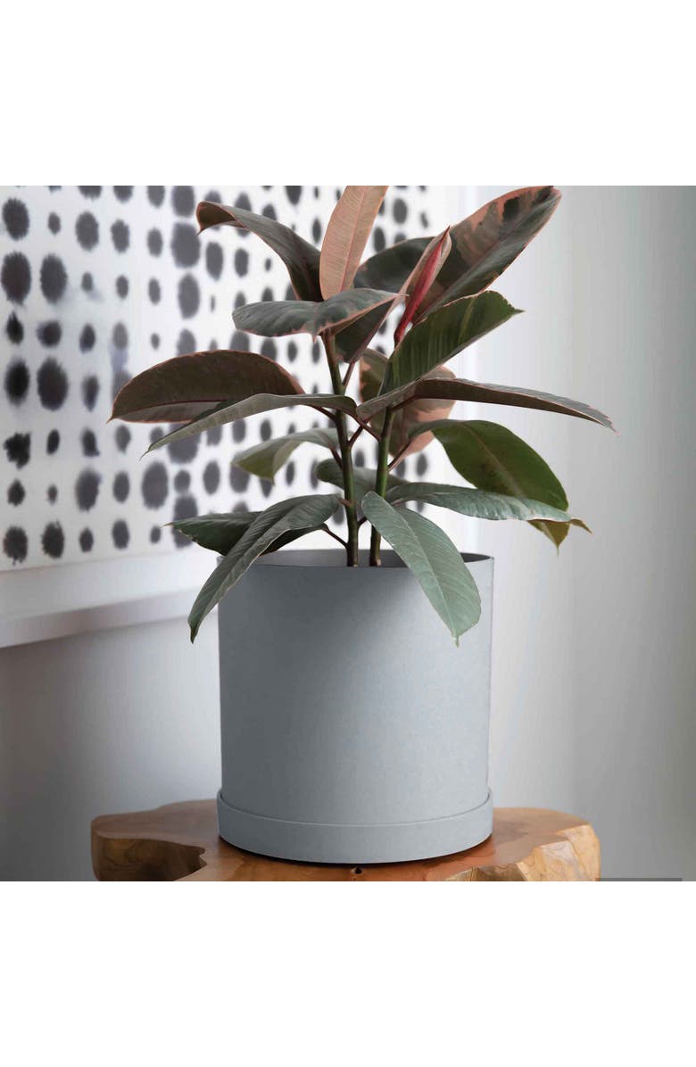 Bloem 12 Inch Mathers Round Planter With Saucer Tray, Alternate, color, 