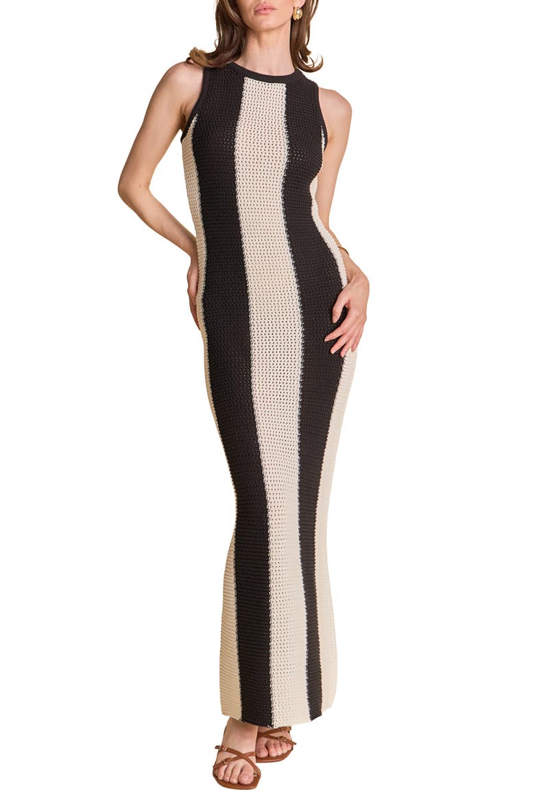 vertical line dress design Vertical Stripe Maxi Dress- Black & White Large