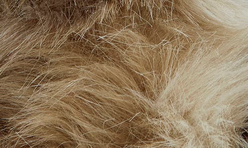 Azalea Wang Fennec Faux Fur Over The Knee Boot In Multi