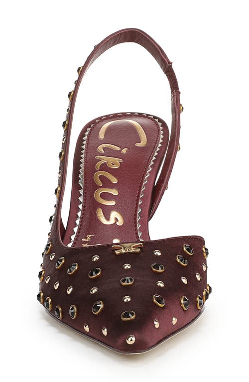 Circus Ny By Sam Edelman Tallie Pointed Toe Slingback Pump In Burgundy