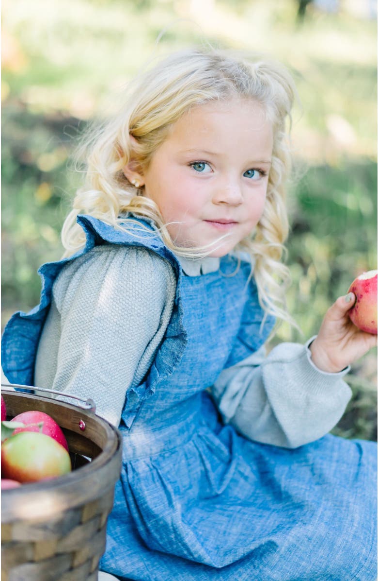 Hope & Henry Baby Girls' Chambray Ruffle Jumper, Infant, Alternate, color, 