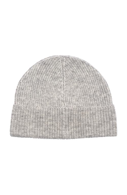 Polo Ralph Lauren Usa Dog Beanie In Gray