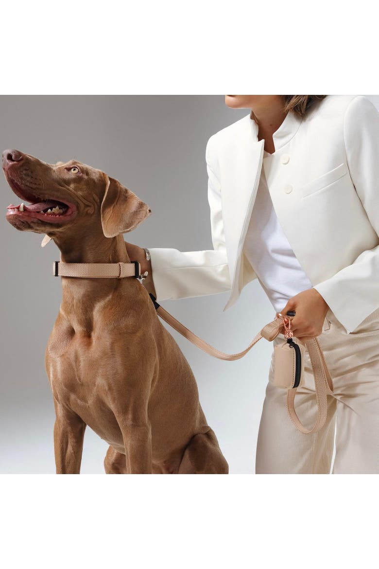 3-in-1 City Dog Leash, Alternate, color, Dune