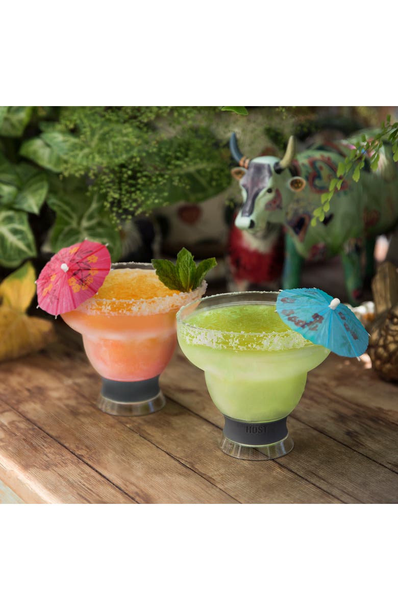 HOST Margarita FREEZE Cooling Cup Set of 2, Alternate, color, Gray
