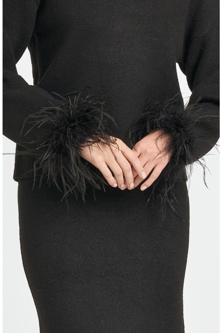 Sadie Feather Trim Sweater, Alternate, color, BLACK