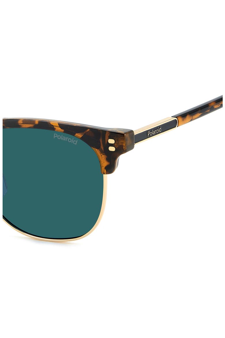 53mm Polarized Rectangular Sunglasses, Alternate, color, HAVANA/ BLUE