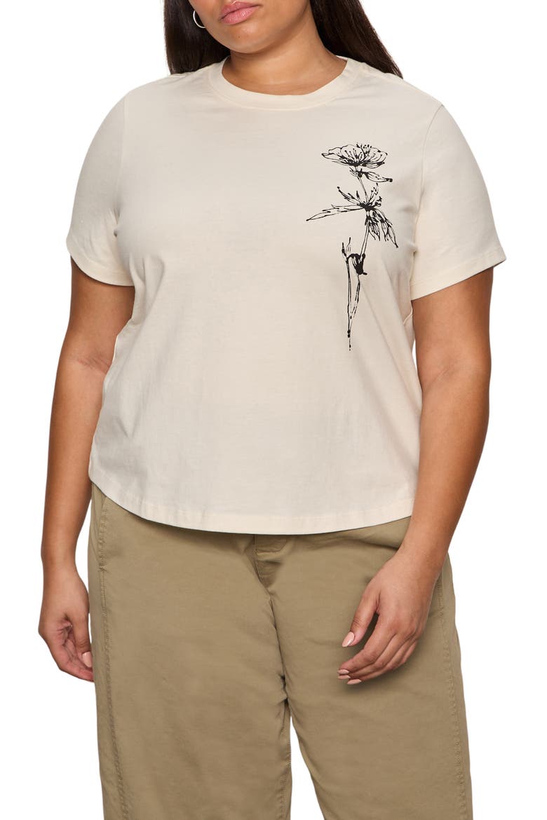 Timeless Dandelion Graphic Organic Cotton T-Shirt, Main, color, COLLAGEN WHITE/ DANDELION