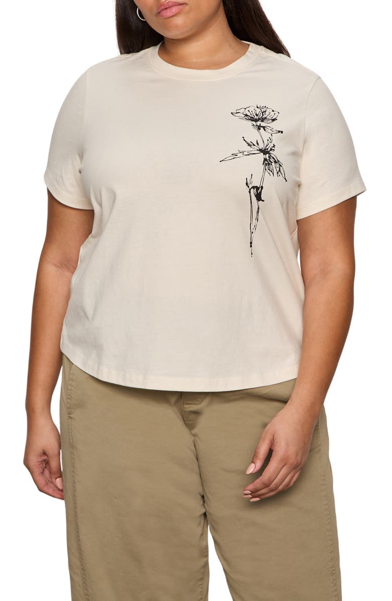 Sanctuary Timeless Dandelion Graphic Organic Cotton T-Shirt, Main, color, Collagen White/ Dandelion