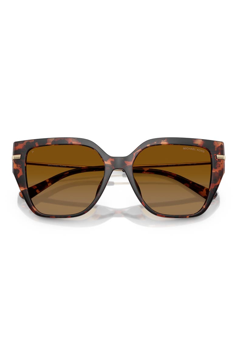 St. Barth's 54mm Polarized Square Sunglasses, Alternate, color, LUGGAGE TORTOISE/ BROWN POLAR