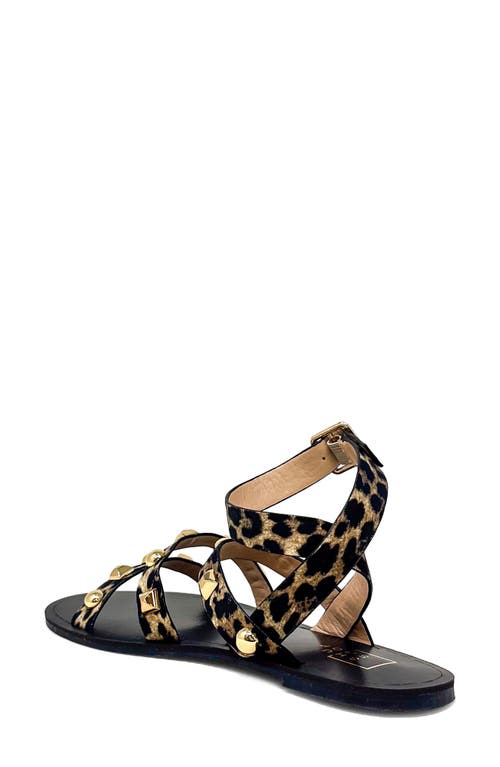 Shushop Daphne Studded Gladiator Sandal In Animal Print