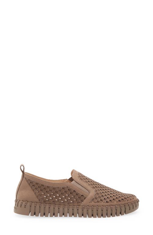 Ilse Jacobsen Tulip Slip-on Sneaker In Brown