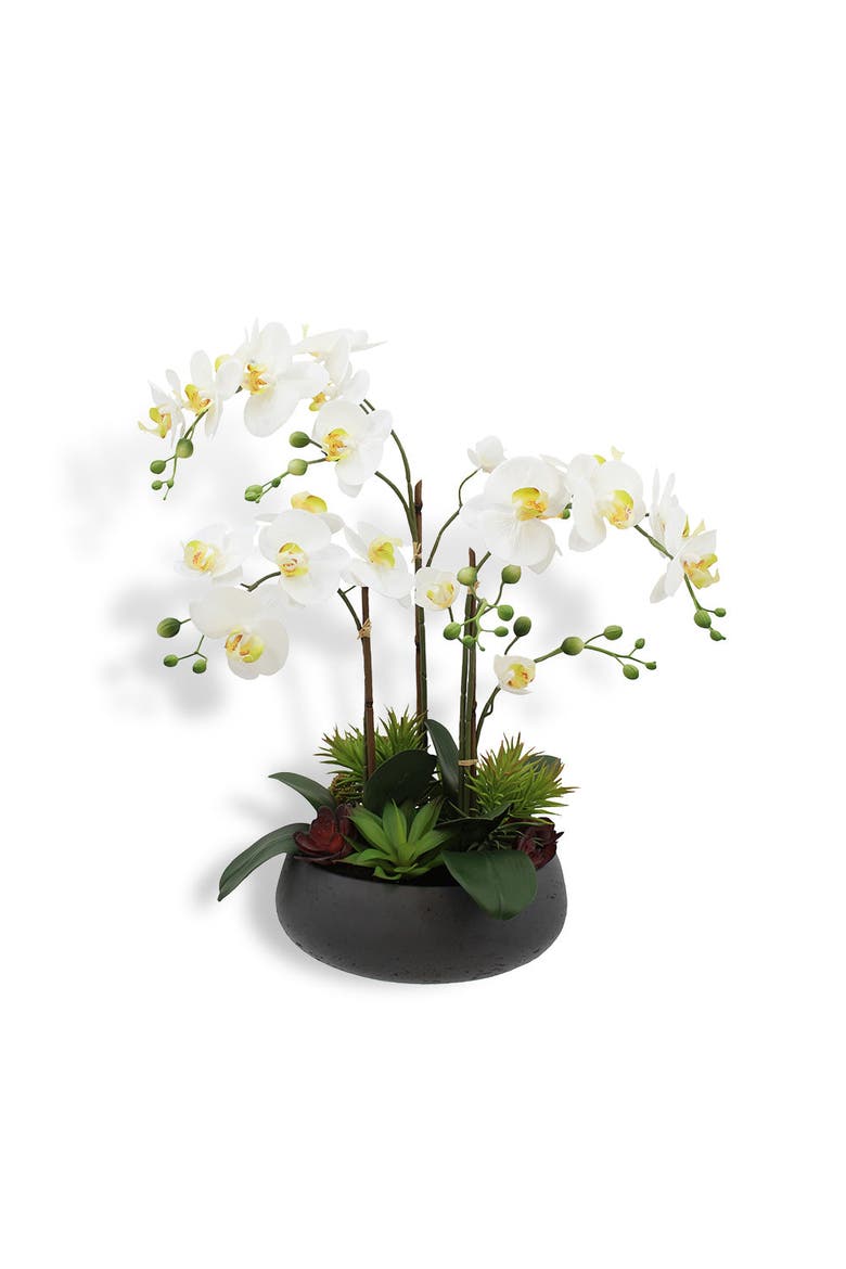 Artificial Orchid with Succulents, Main, color, White, green, grey