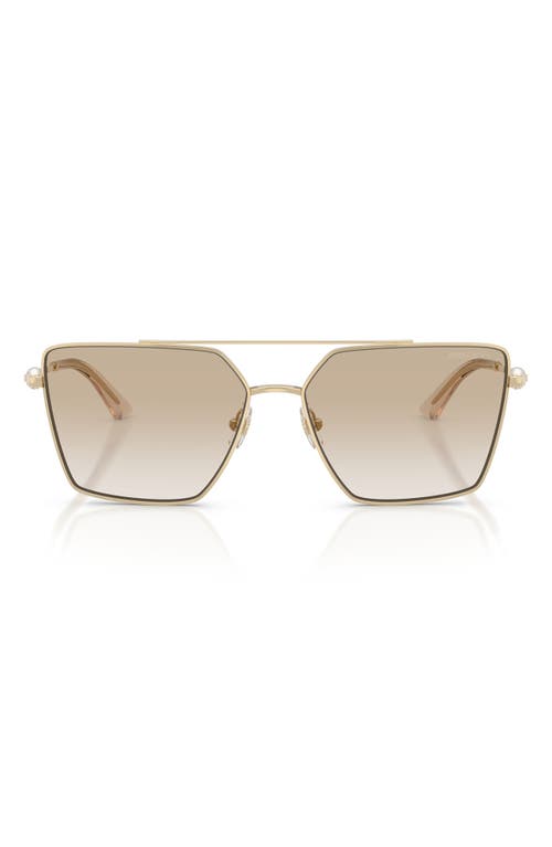 Jimmy Choo Joss 58mm Gradient Square Sunglasses In Gold