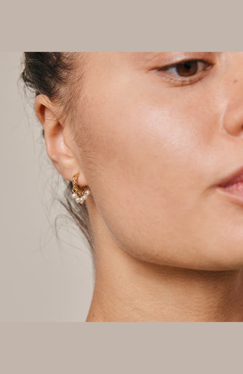 Enamel Copenhagen Astrid Earring In Gold