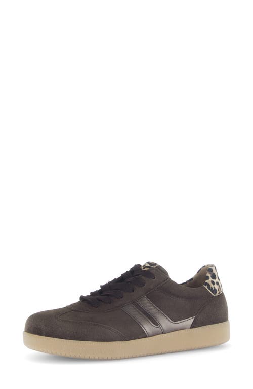 Gabor Bike Toe Sneaker In Brown
