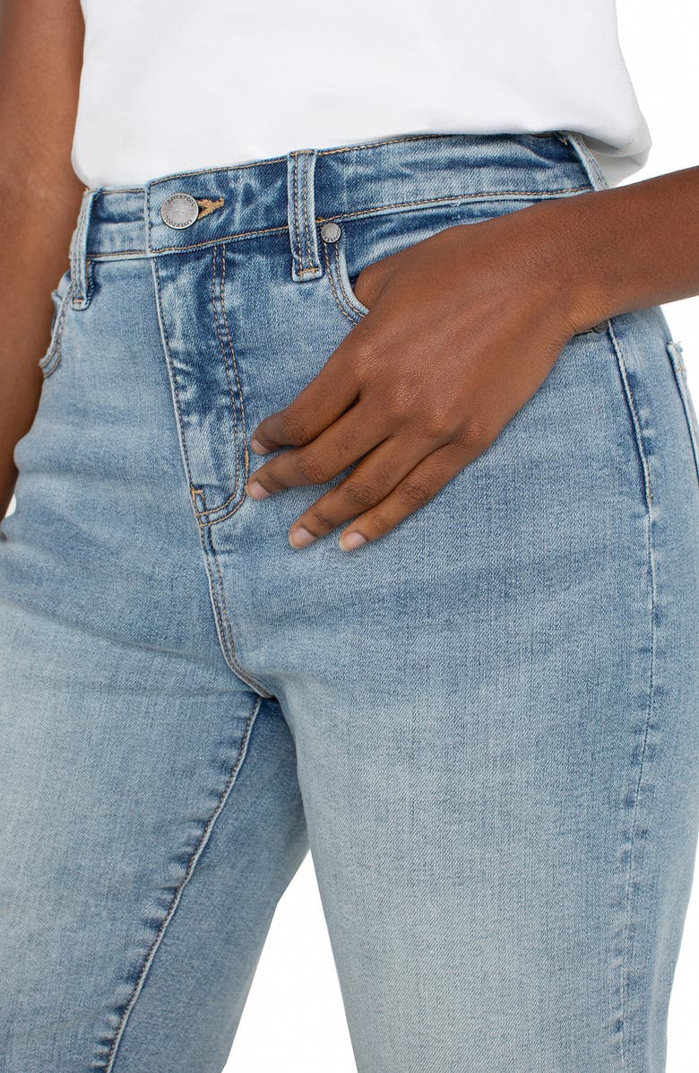 Liverpool Los Angeles Jort High Waist Denim Shorts, Alternate, color, 