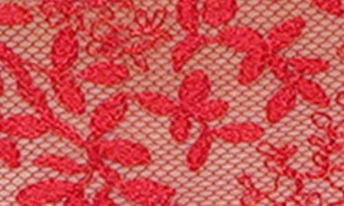 Huit Eglantine Lace Tanga In Red