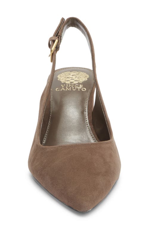Vince Camuto Hamden Pointed Toe Slingback Pump In Brown