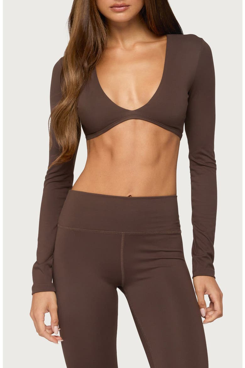 Faery Long Sleeve Crop Top, Main, color, BROWN