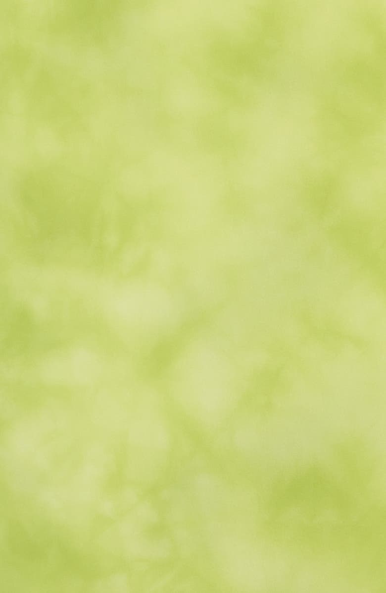 Eileen Fisher Hand Dyed Georgette Silk Scarf, Alternate, color, Chartreuse