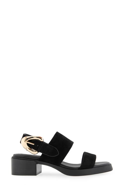AEROSOLES AEROSOLES DANTAY SLINGBACK SANDAL