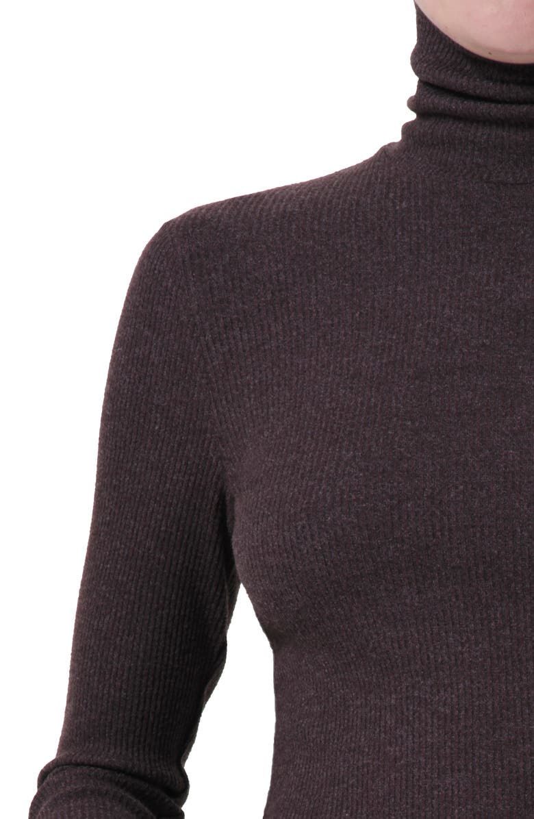 AGOLDE Pascale Rib Turtleneck Sweater, Alternate, color, Fox