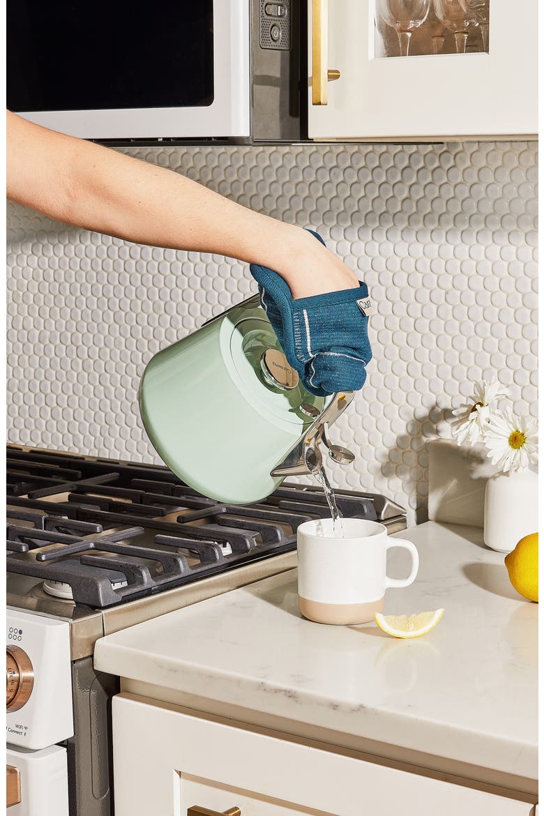 Whistling Tea Kettle, Alternate, color, MIST