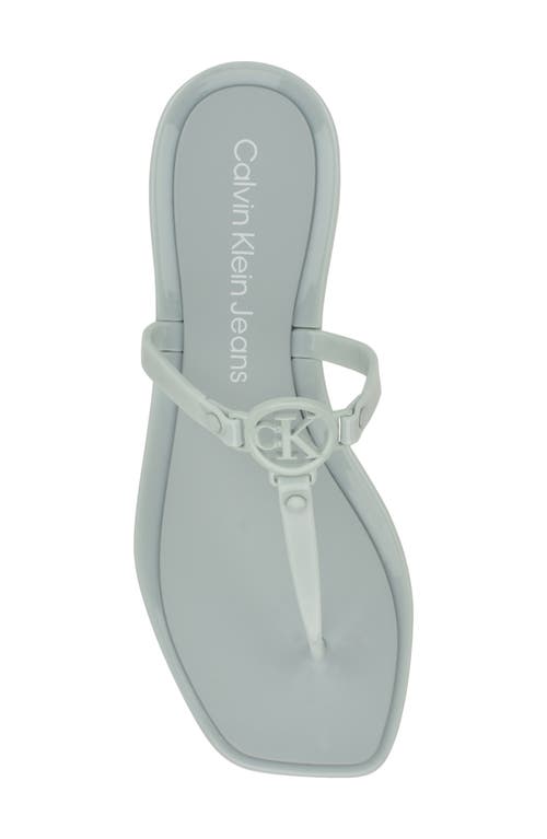 Calvin Klein Edhen Flip Flop In Light Green 331