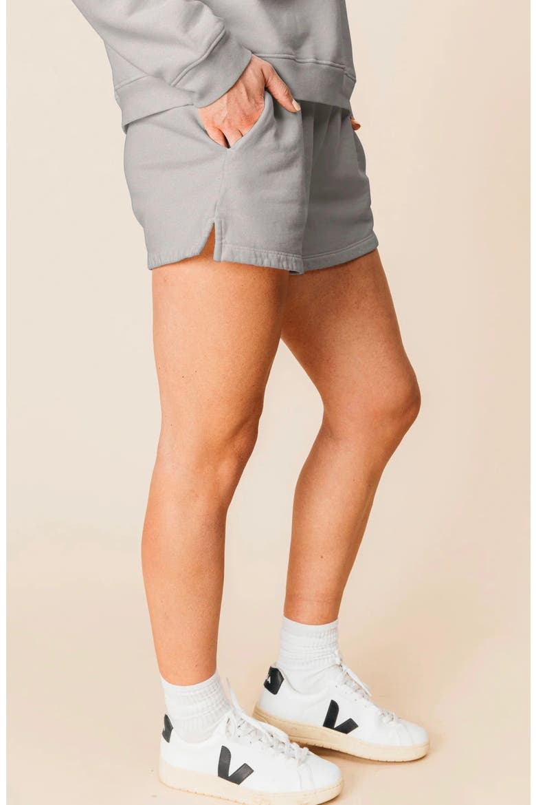 Women's Organic Cotton Teddy Everywhere Shorts, Alternate, color, Ash