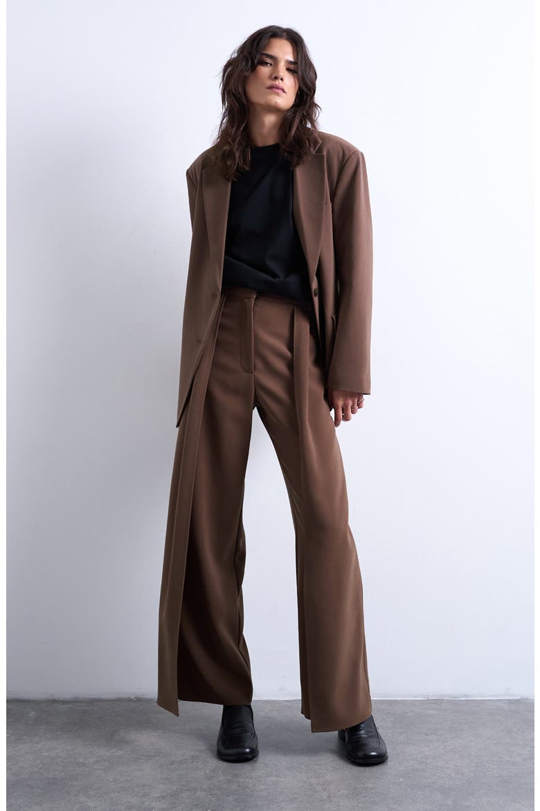 Pleated Volume Wide Leg Pants, Alternate, color, TAUPE
