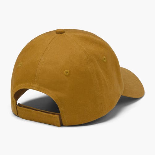 Turtle Fur Boondocker Ball Cap In Brown