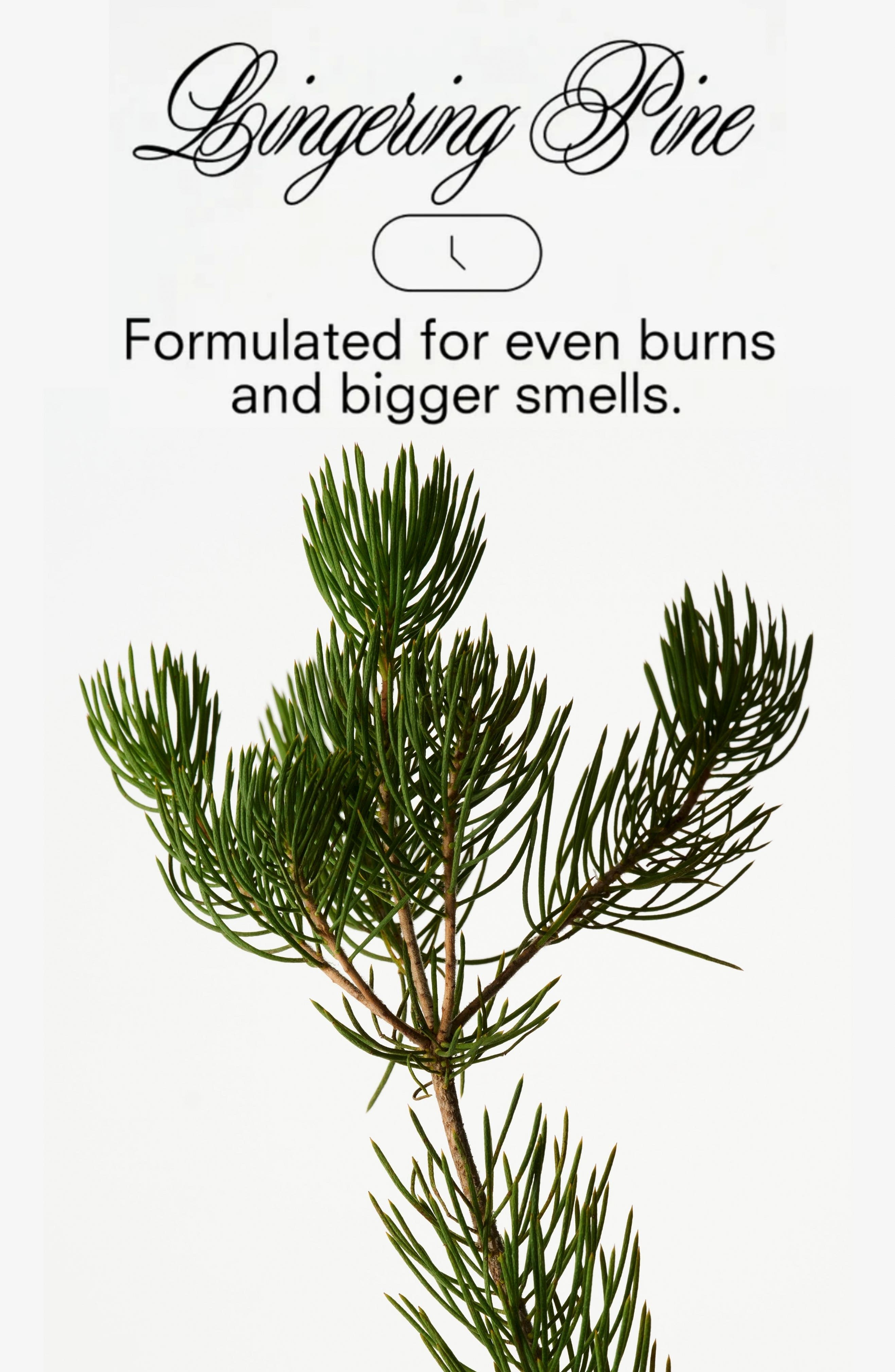 Boy Smells Xxmas Tree Candle | Nordstrom