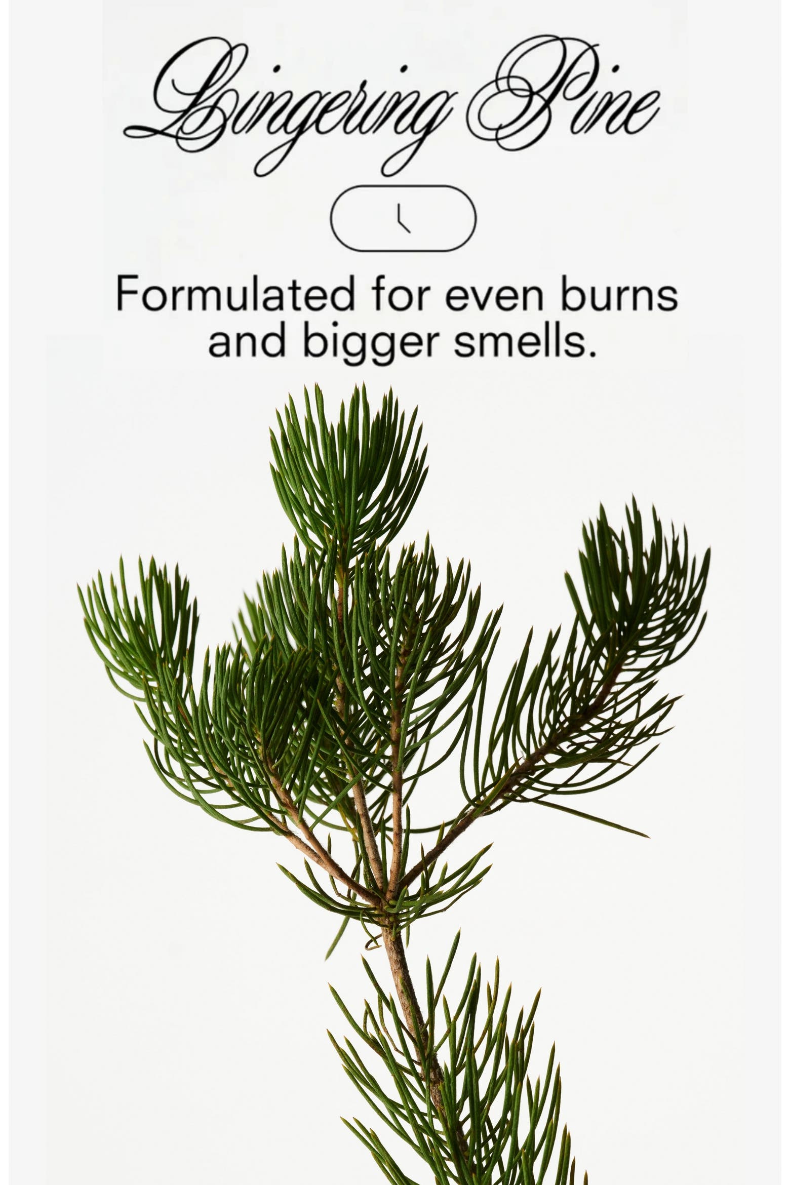 Tree Smells List Boy Smells Xxmas Tree Candle | Nordstrom