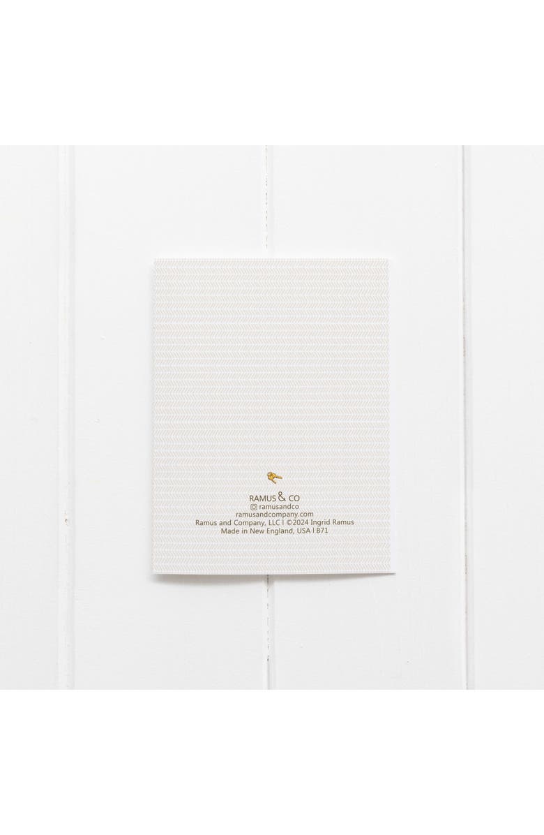 Ramus & Co Birthday Greeting Card Pack Sets (3 ct) Old Turtle, Alternate, color, Multi-Pack