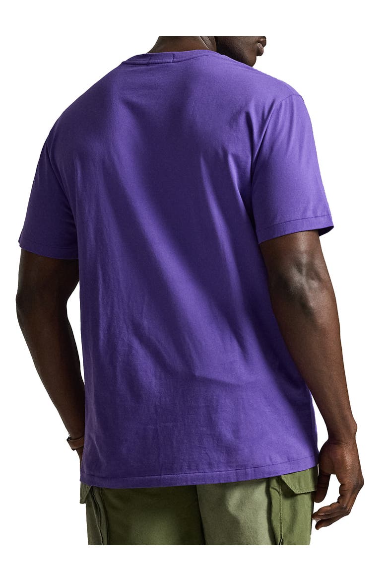 Big & Tall Script T-Shirt, Alternate, color, CABANA PURPLE