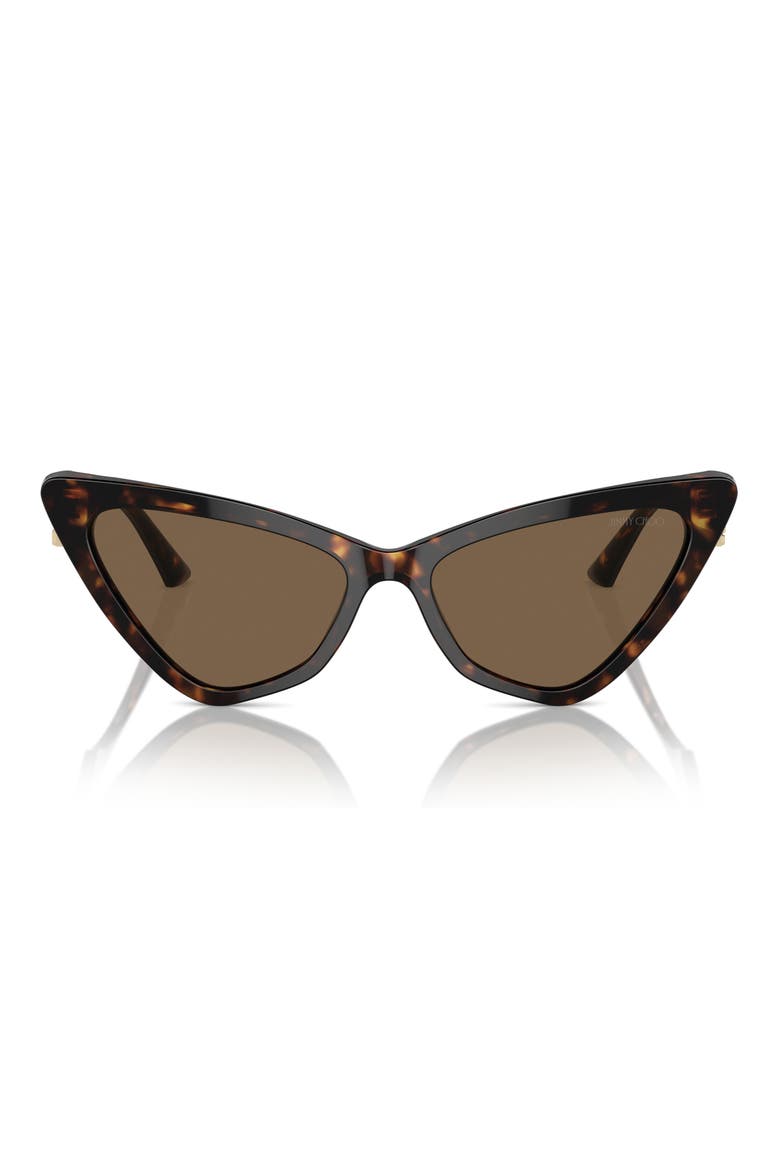 55mm Cat Eye Sunglasses, Main, color, HAVANA / DARK BROWN