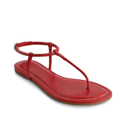 BERNARDO FOOTWEAR BERNARDO FOOTWEAR HERCU T-STRAP SANDAL 
